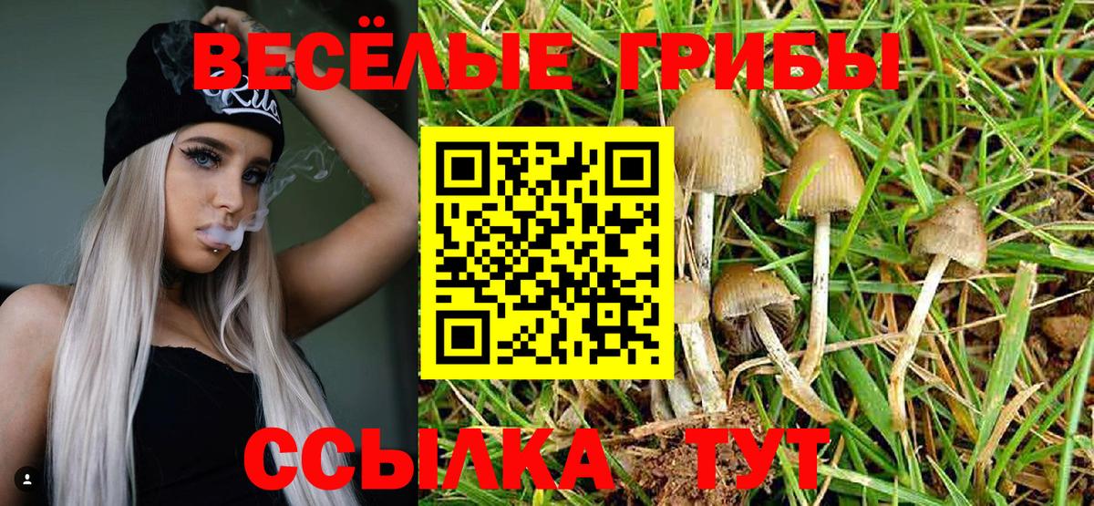Галлюциногенные грибы Psilocybine cubensis  дарнет шоп  Артём  Вход с VPN 
