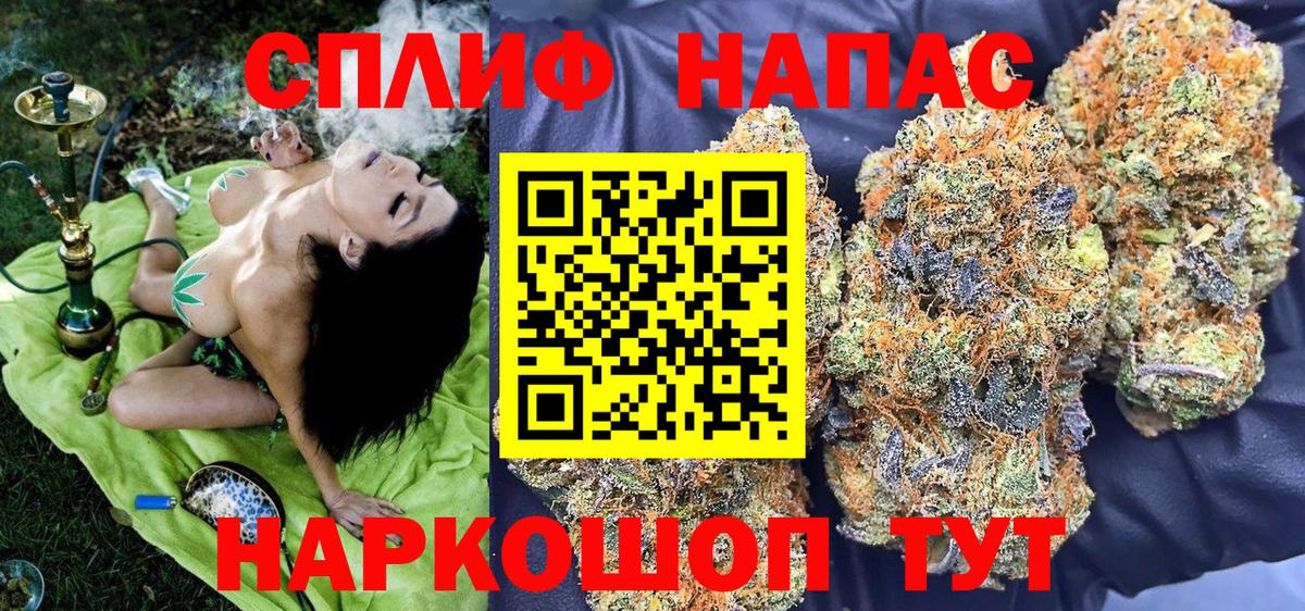 Канабис планчик Артём